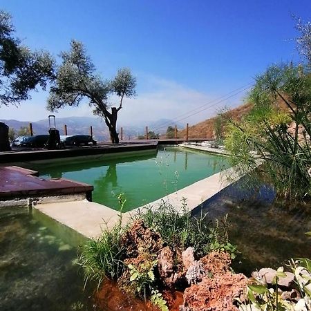 ランハロン Cortijo Samadhiゲストハウス エクステリア 写真
