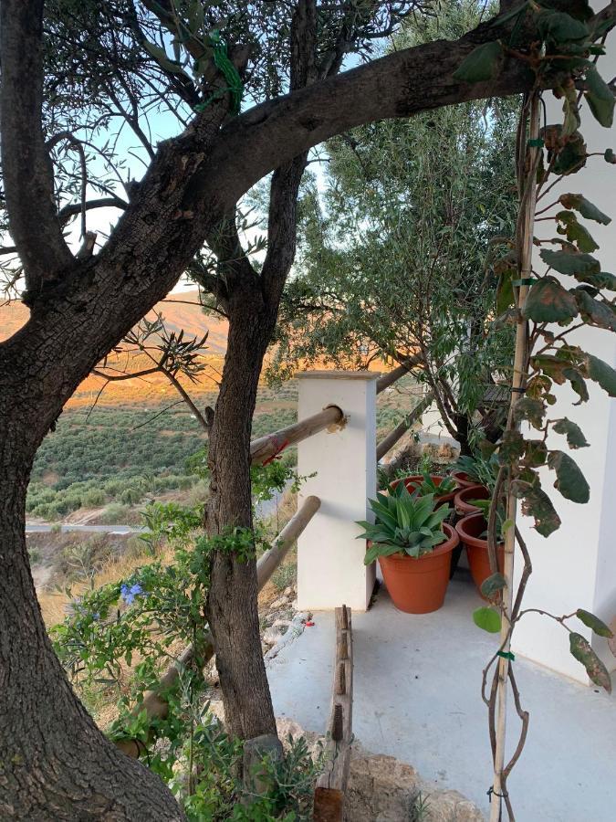 ランハロン Cortijo Samadhiゲストハウス エクステリア 写真