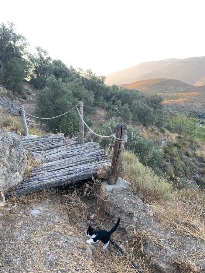 ランハロン Cortijo Samadhiゲストハウス エクステリア 写真
