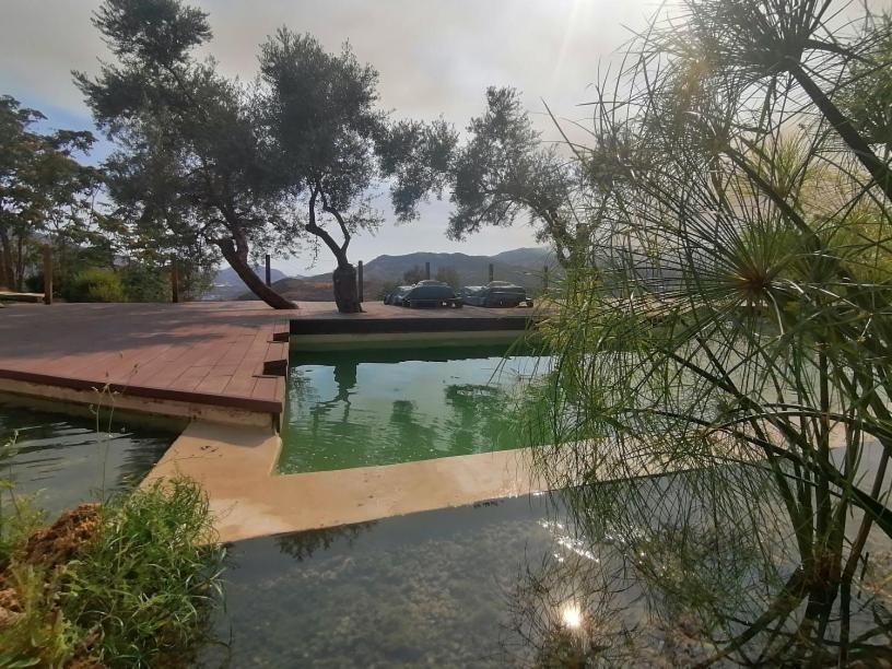 ランハロン Cortijo Samadhiゲストハウス エクステリア 写真