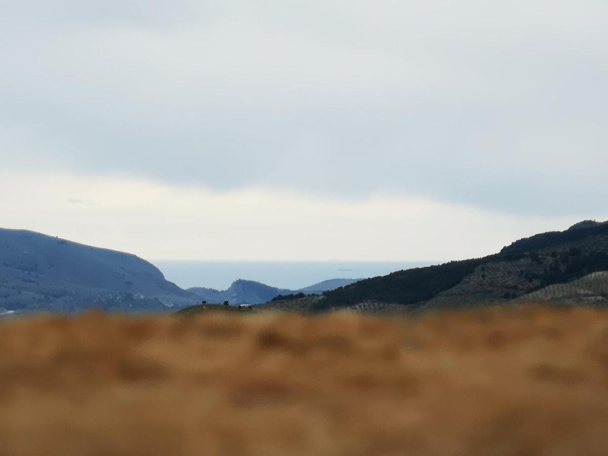 ランハロン Cortijo Samadhiゲストハウス エクステリア 写真